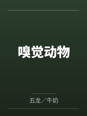 陈卿岳乔迦嘉封面