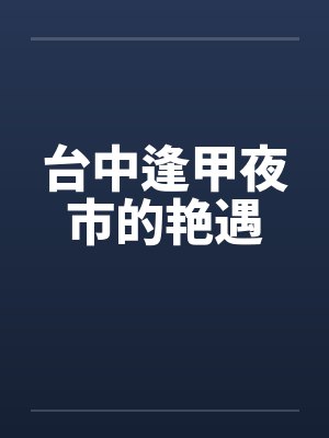 台中逢甲夜市的艳遇封面