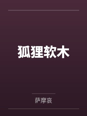 狐狸软木封面
