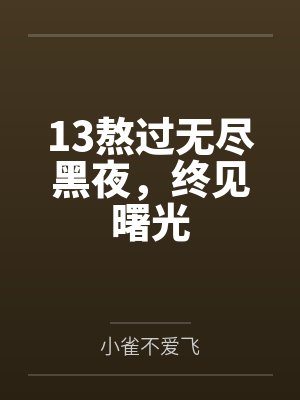13熬过无尽黑夜，终见曙光封面