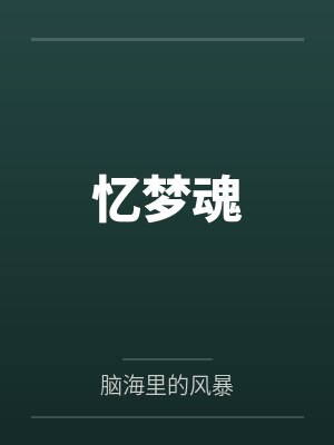 忆梦魂封面